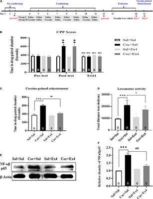 Effects of Glucagon-Like Peptide-1 Receptor Agonist Exendin-4 on the Reinstatement of Cocaine-Mediated Conditioned Place Preference in Mice